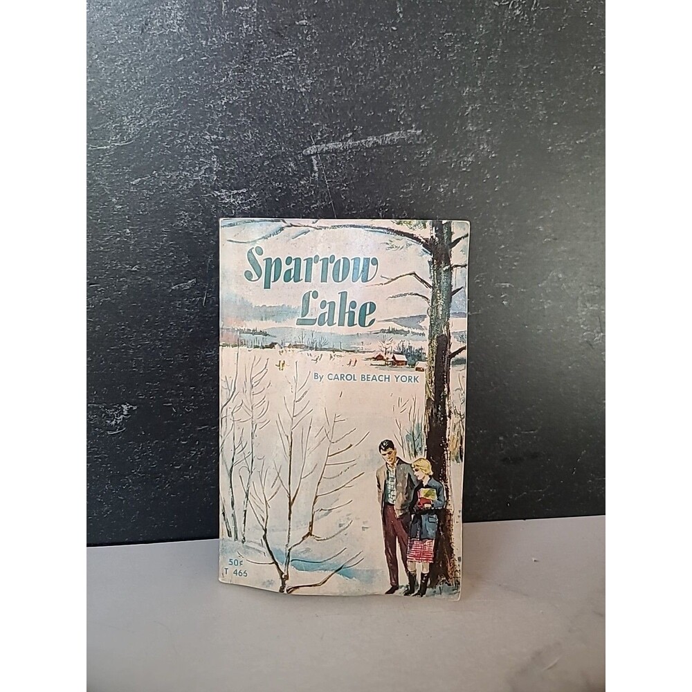Sparrow Lake By Carol Beach York Paperback